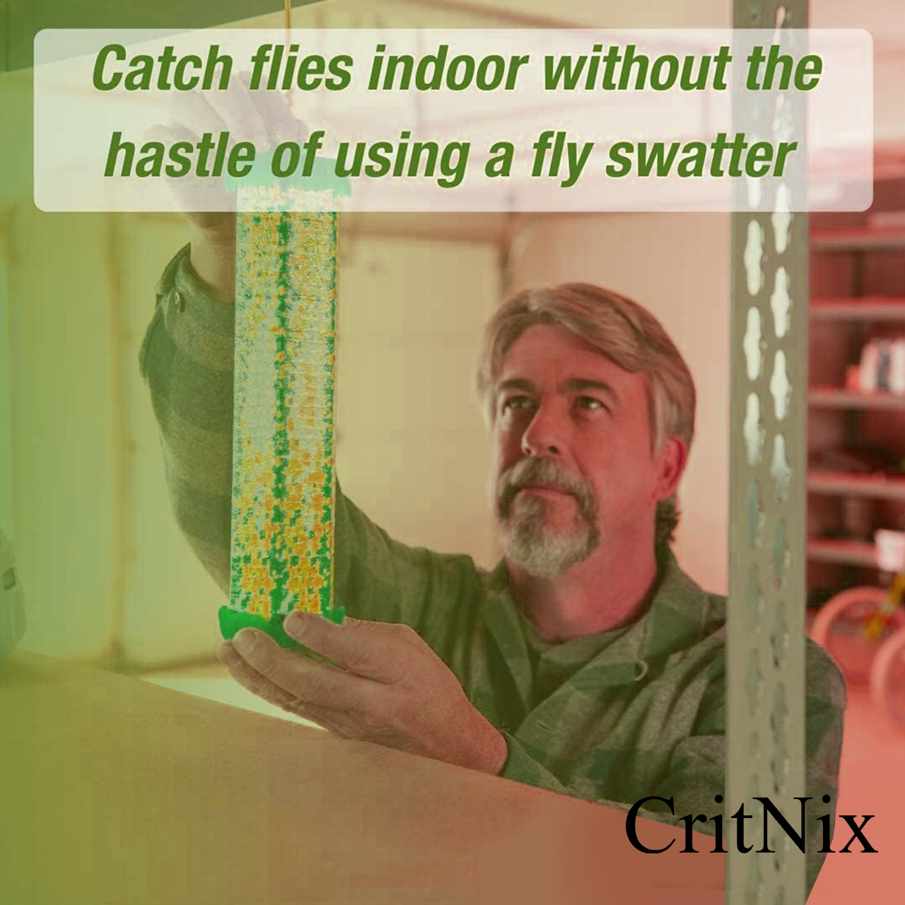 CritNix Fly Traps